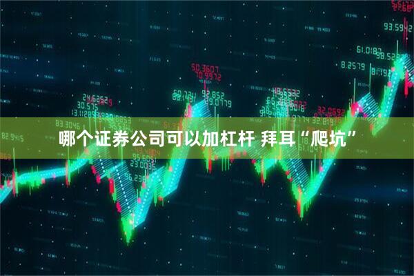 哪个证券公司可以加杠杆 拜耳“爬坑”